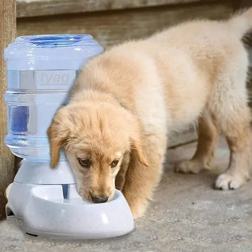 Automatic Pet Water Food Dispenser 3.5L Large Capacity Self-Dispensing Gravity Feeder Water Cat Feeding Bowl Drinking Water/Automatic Feeding Pet Supplies, Multicolor 18279