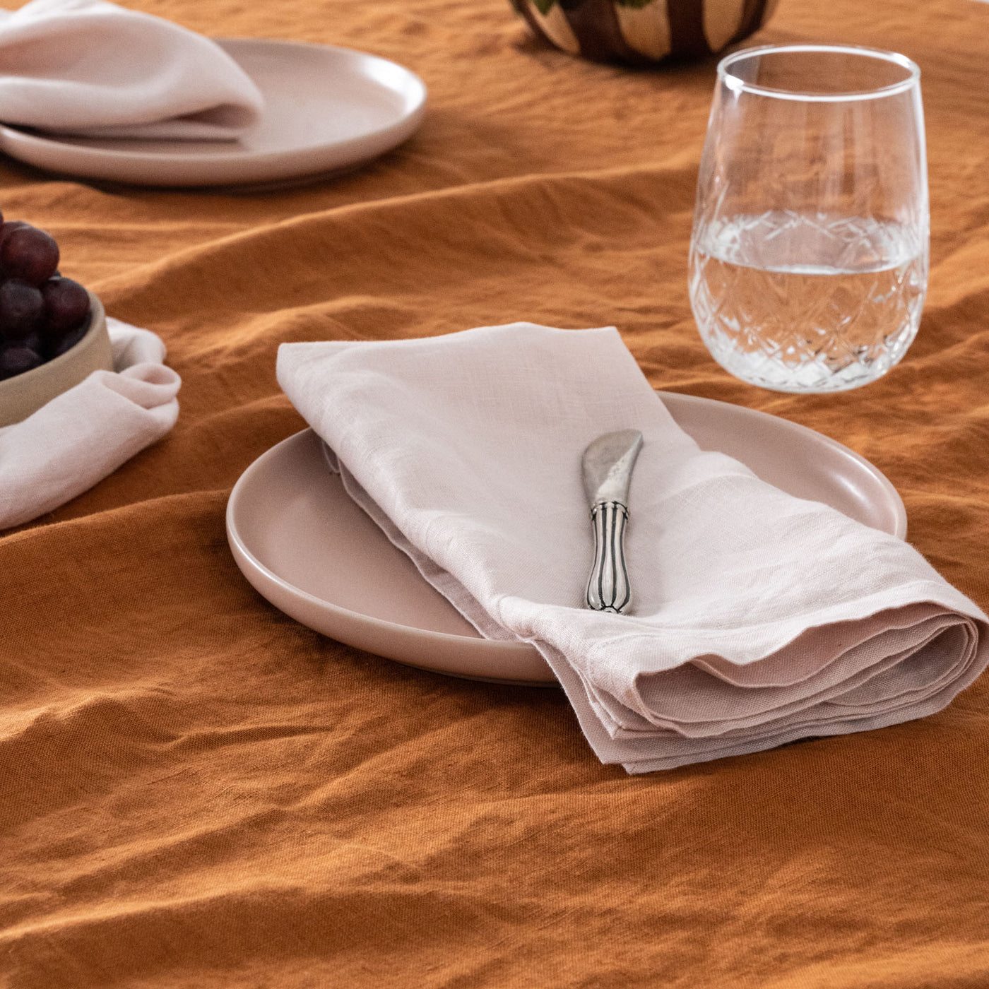 Camel Brown Linen Napkin Set-3