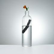 Designer Glass Carafe + 1 French Bamboo Charcoal Filter